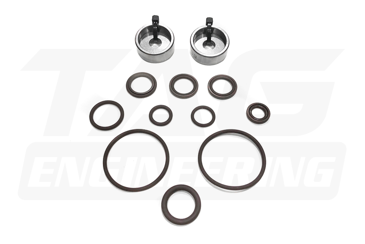 Dual Vanos Repair Kit (Seals+Rattle) For BMW S54B32 Engine 高品質單可變機構維修包 | TE Motorsport by TAG Engineering Group.